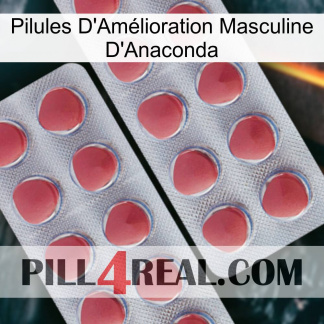 Anaconda Male Enhancement Pills 19